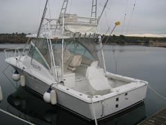 Luhrs 32 open